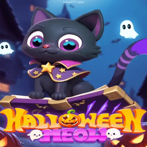 Exploring HalloweenMeow: A Spooky Adventure
